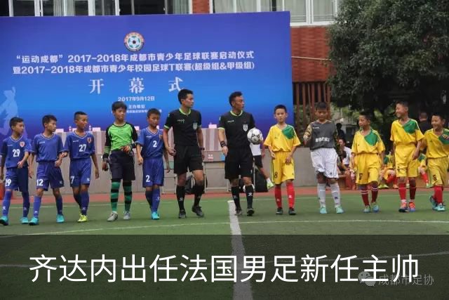 齐达内出任法国男足新任主帅